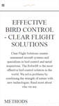 Mobile Screenshot of clearflightsolutions.com